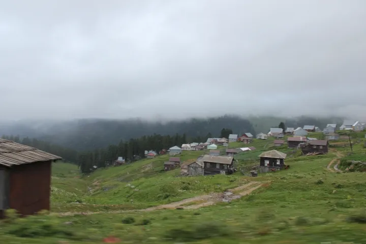 ბეშუმის ხის საზაფხულო კოტეჯები მწვანე ფერდობზე ნისლში