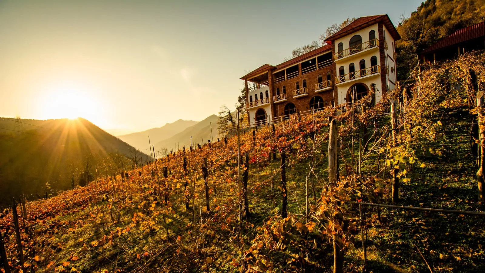სასტუმრო Chateau Iveri თავისი ვენახის ზემოთ, მზის ჩასვლისას