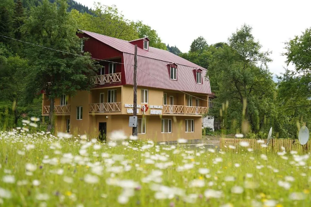 The Khikhani Palace guest house behind a meadow of daisies