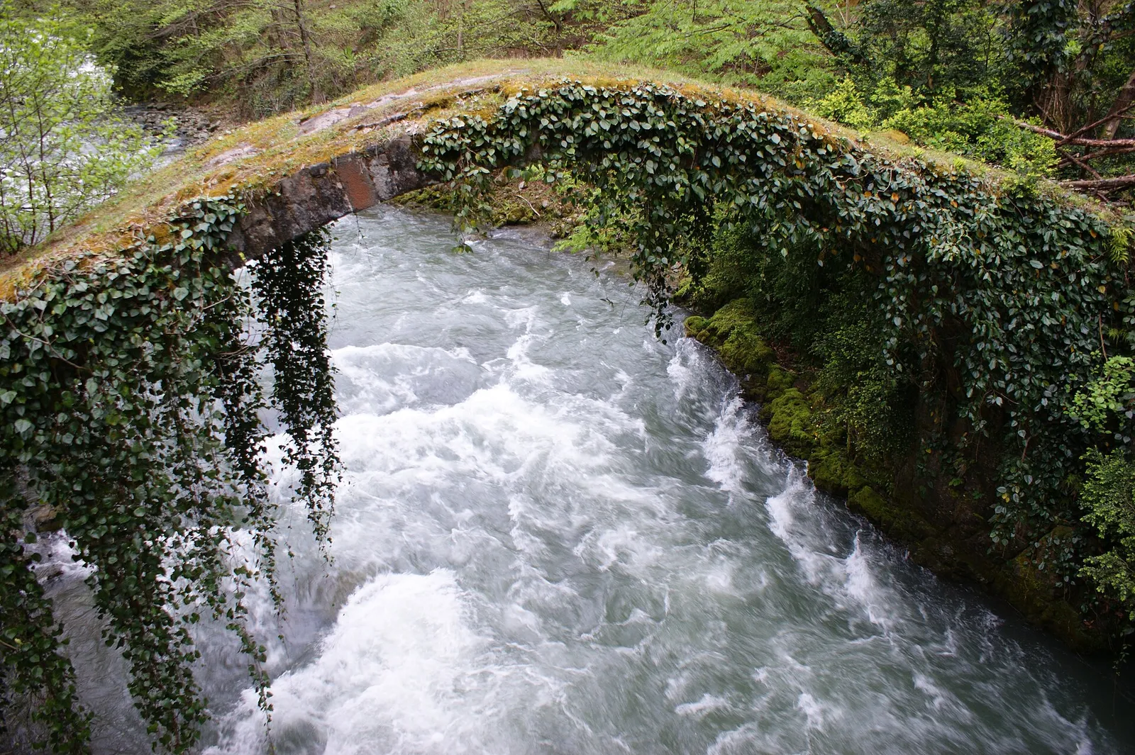 An old stone arch bridge over the Kintrishi river