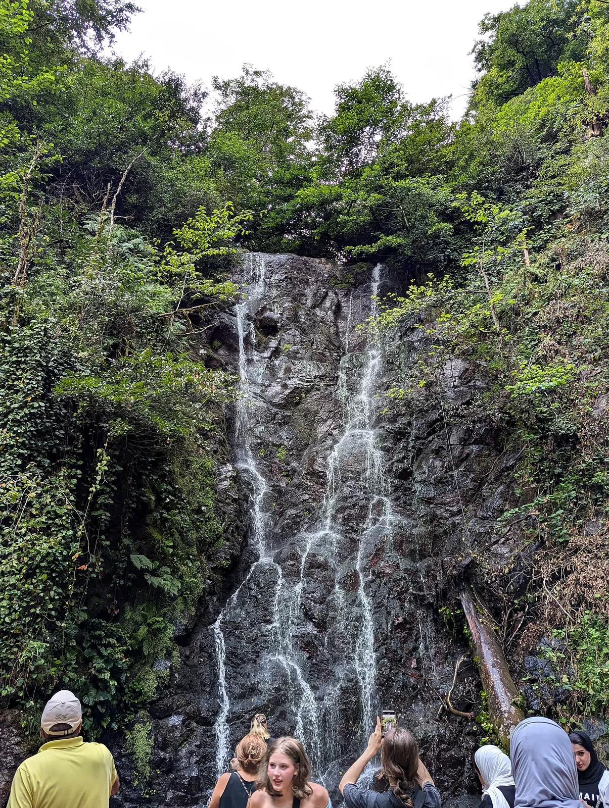 Mirveti waterfall falling into a green pool in the box-tree forest