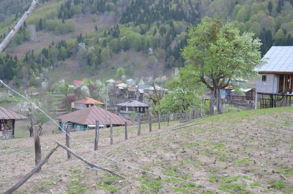 Wooden houses and fenced gardens of Village Tago on the slope