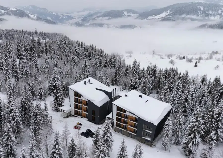Goderdzi Twins Hotel-ის ორი შენობა თოვლიან ნაძვებს შორის