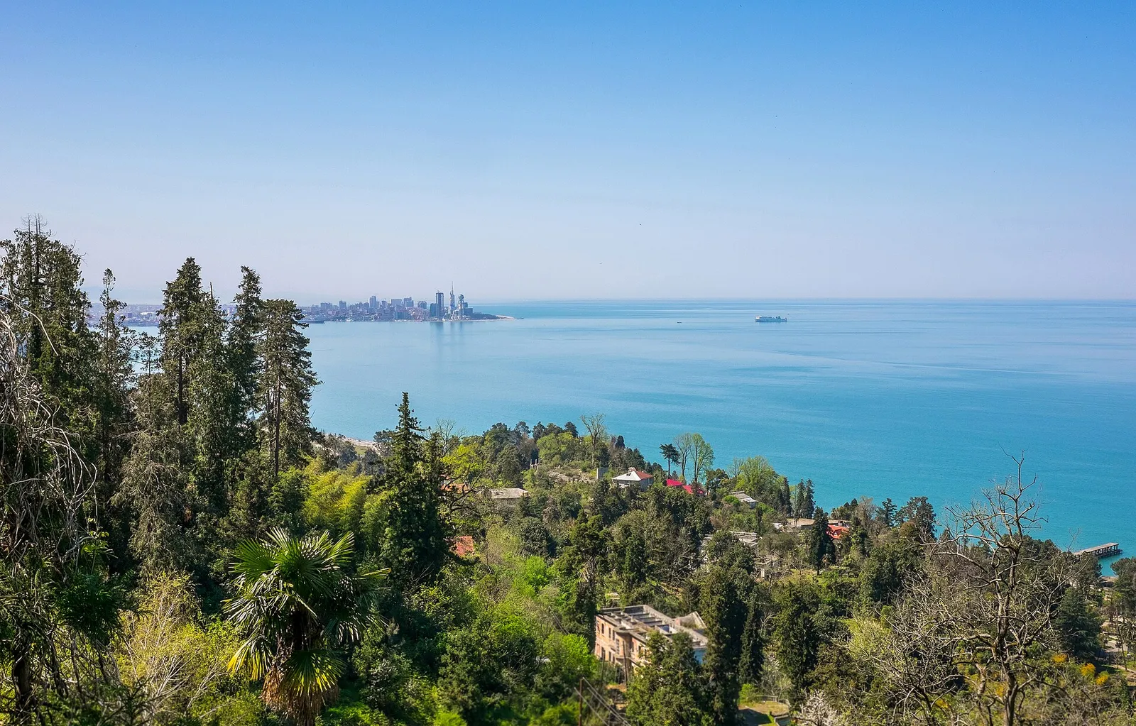 The Black Sea coast of Adjara with the Batumi skyline on the horizon