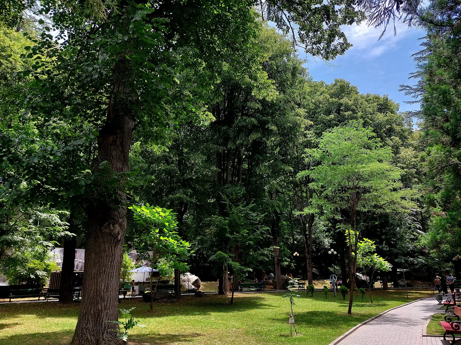Borjomi Central Park with trees along the river in summer