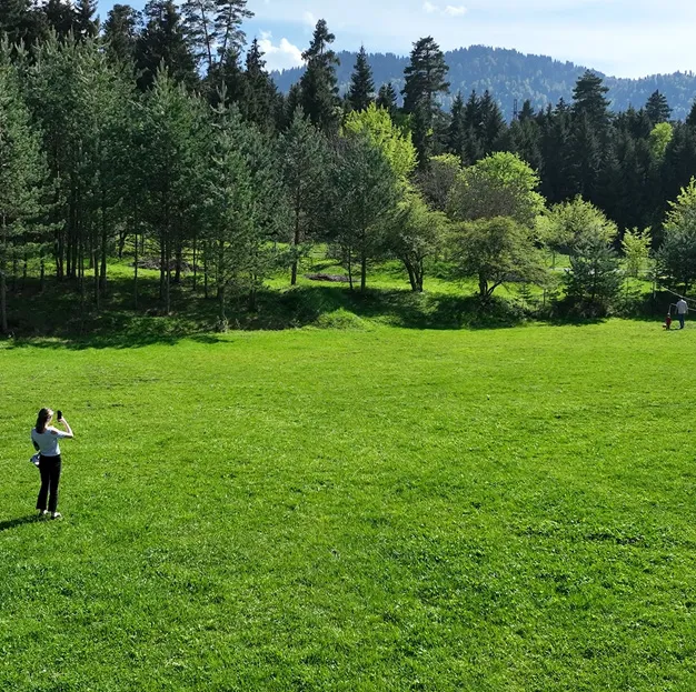 The hotel building and a wide lawn among trees at Mountain Resort Gantiadi