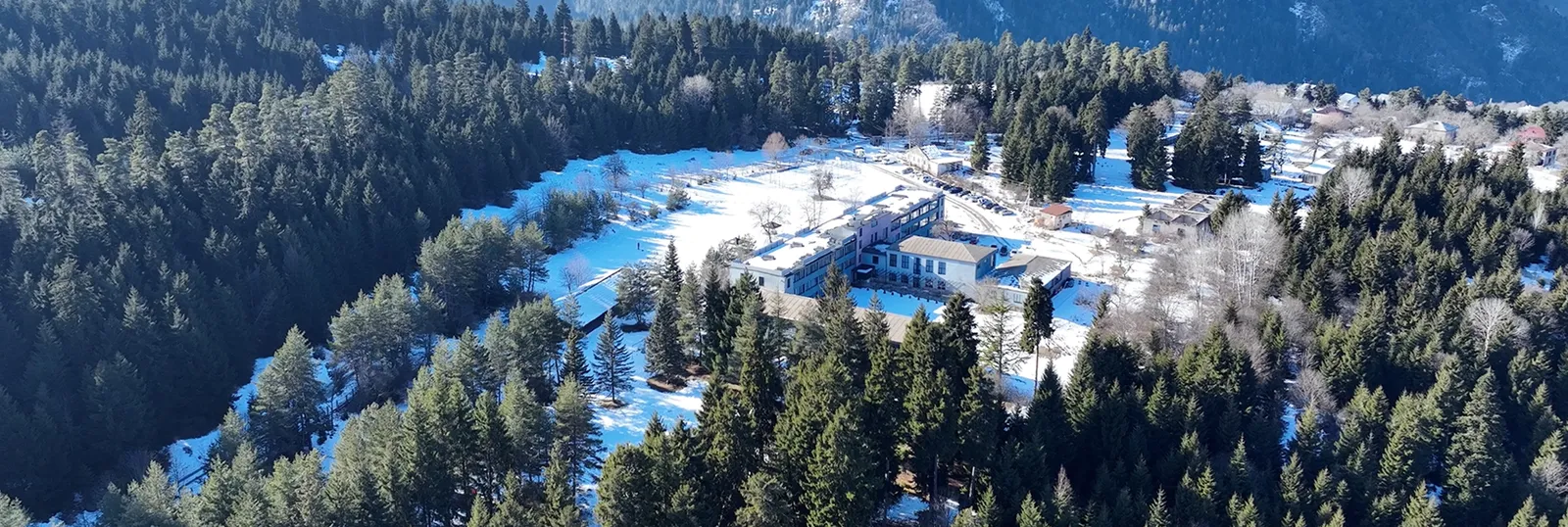 Mountain Resort Gantiadi среди соснового леса в Цеми, зимой