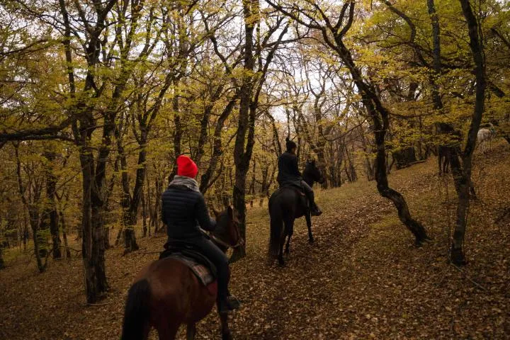 Two riders on horseback on a forest path at Kiketi Farm in autumn