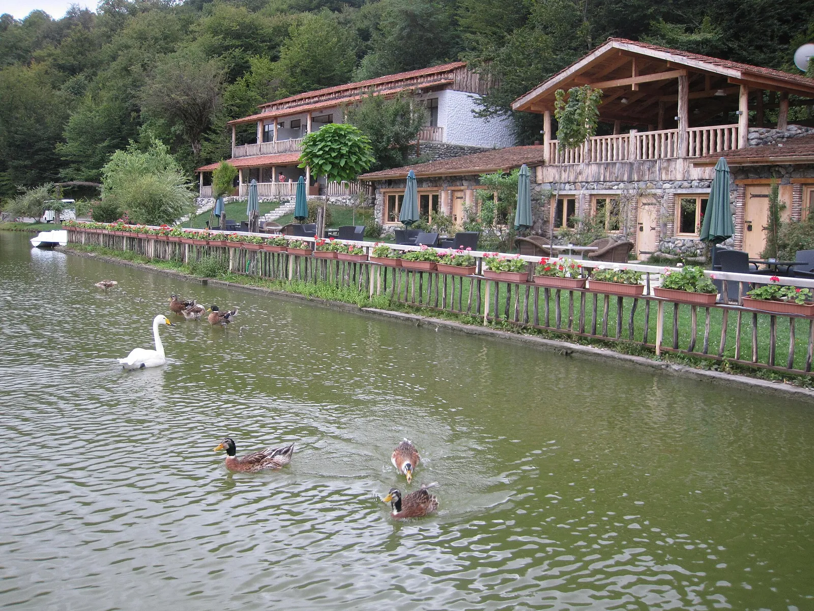 Lopota Lake in Kakheti surrounded by wooded hills
