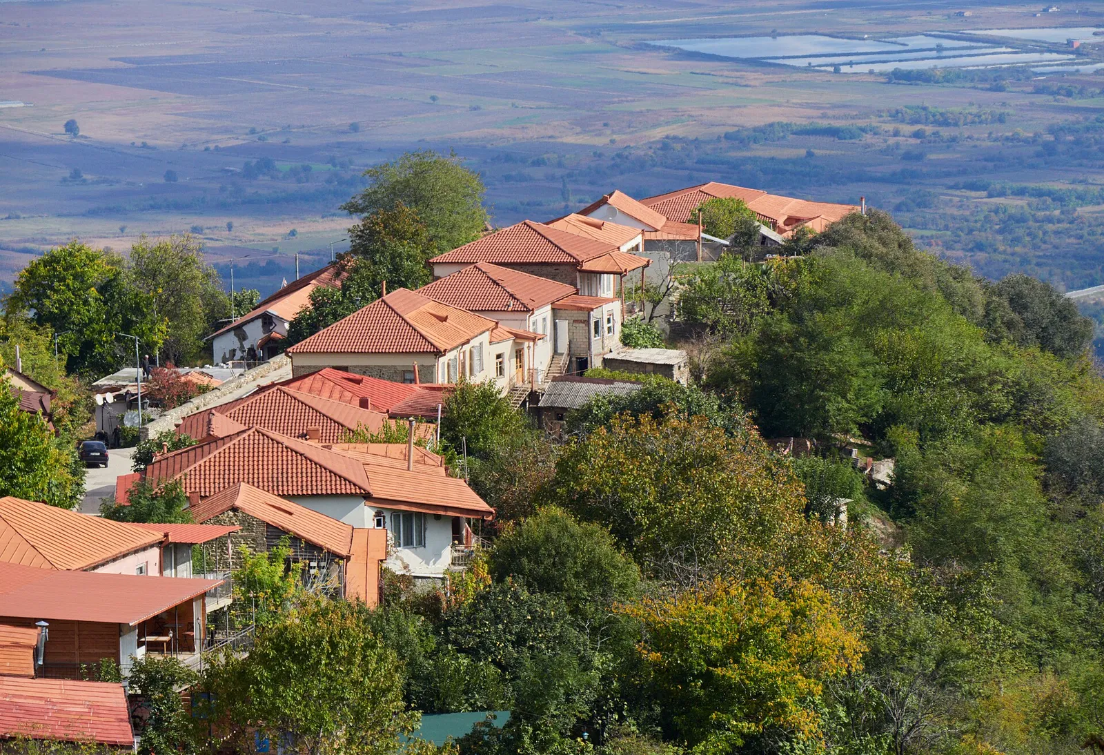 Rooftops of Sighnaghi, the hill town where Kabadoni stands, with the Alazani valley behind