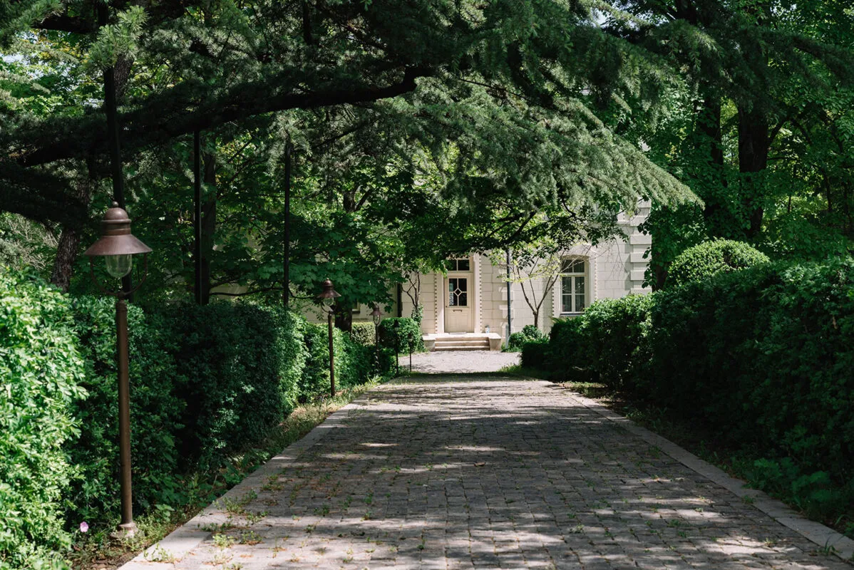 Мощеная аллея под старыми деревьями, ведущая к главному дому Vazisubani Estate