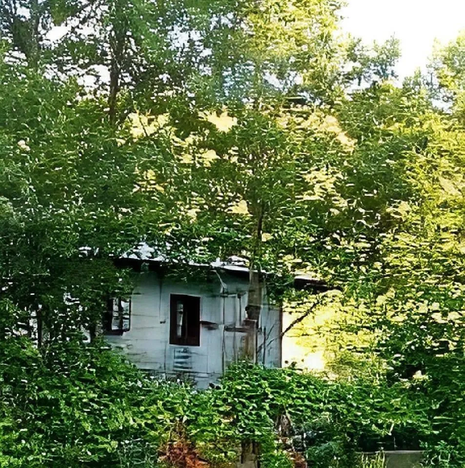 Guest House Welcome, деревянный дом среди деревьев в селе Таго