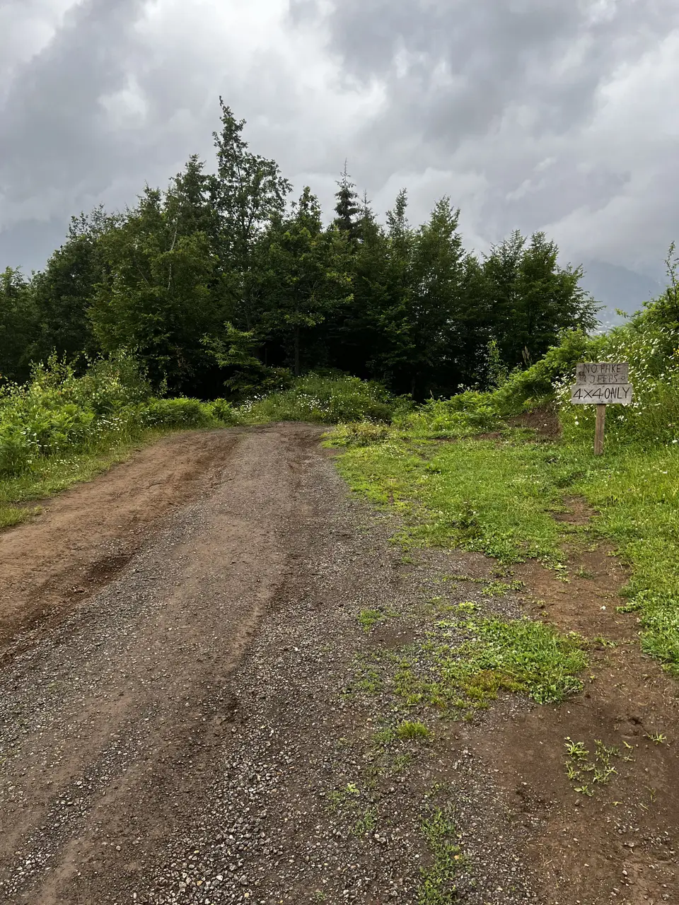 Gravel road into the forest with a hand-painted "No fake jeeps, 4x4 only" sign, near Glamping Tago