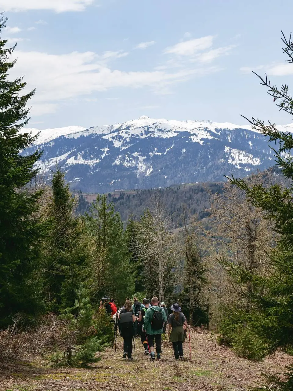 Walkers on a forest path in the Adjara mountains with snowy peaks behind